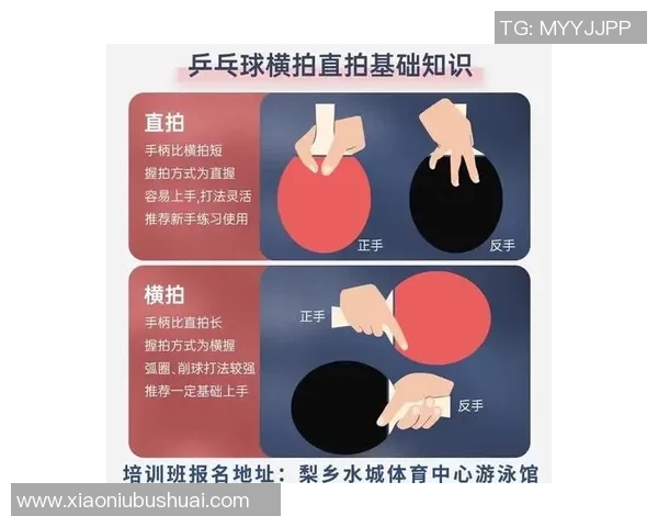 周敏独家分享乒乓球技巧与心得助你提升球技的秘密秘籍
