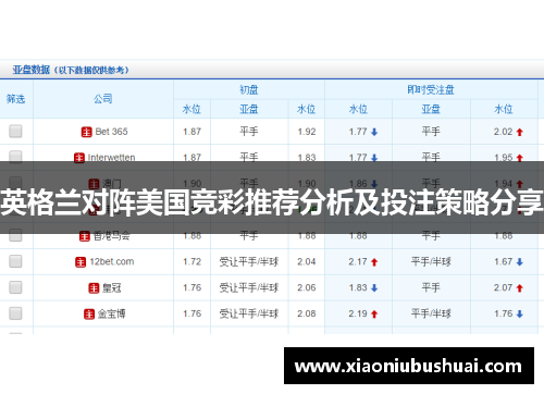 英格兰对阵美国竞彩推荐分析及投注策略分享